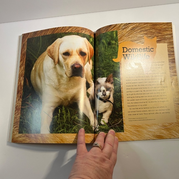 Birdhouses & More DIY Outdoor Bird Feeder Guide Book - Picture 8 of 14